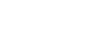 polynt-Logo-white
