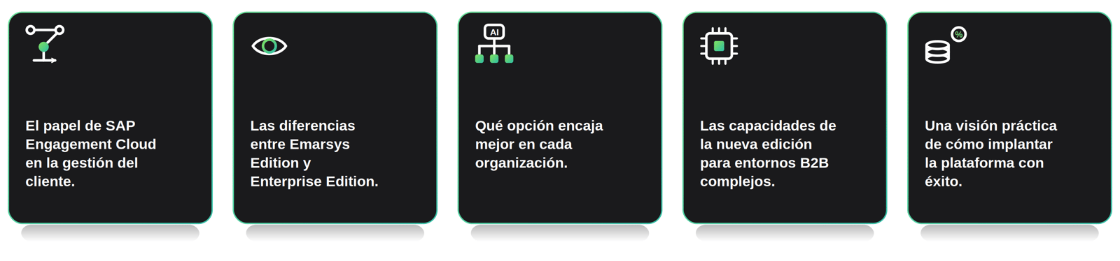 Que_puede_esperar_emarsys2