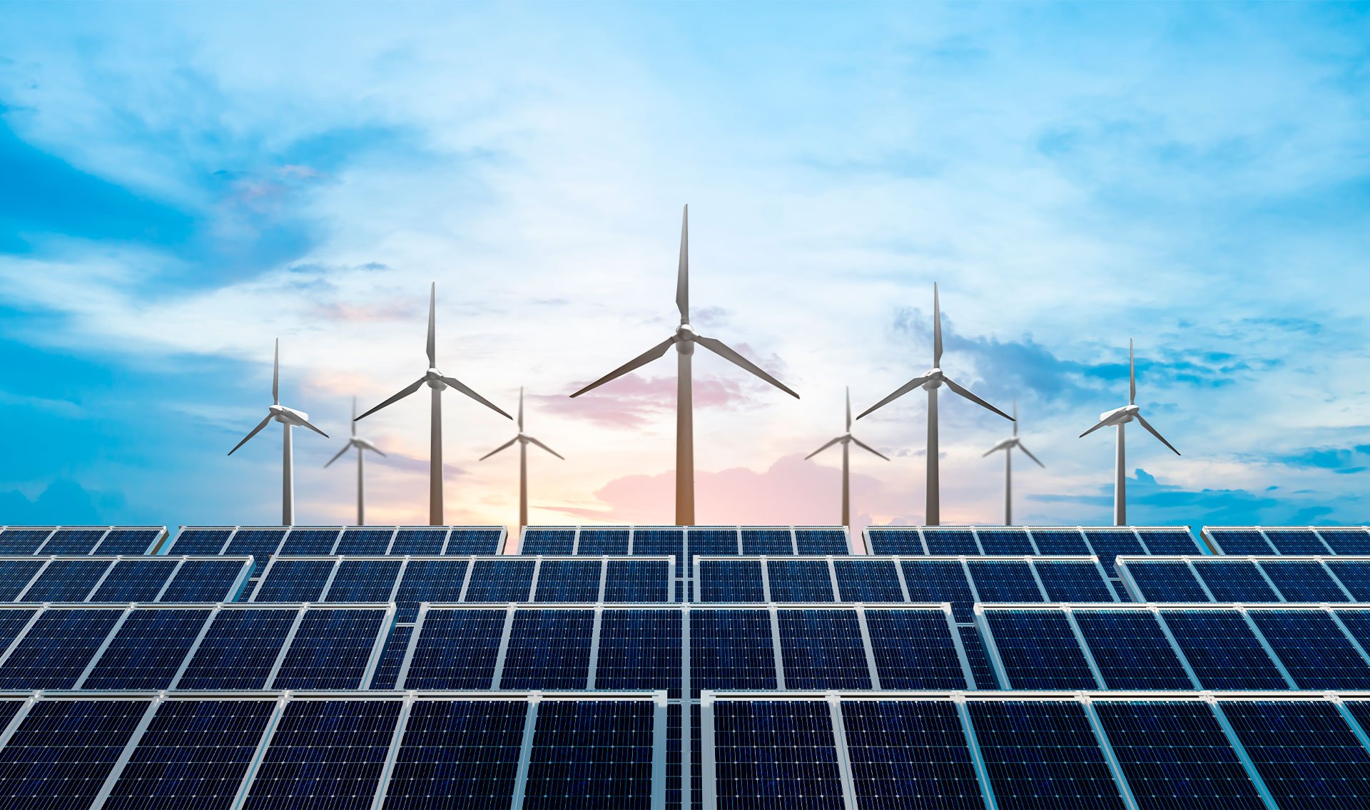 SAP-BDC-5-industrias-Cata-05