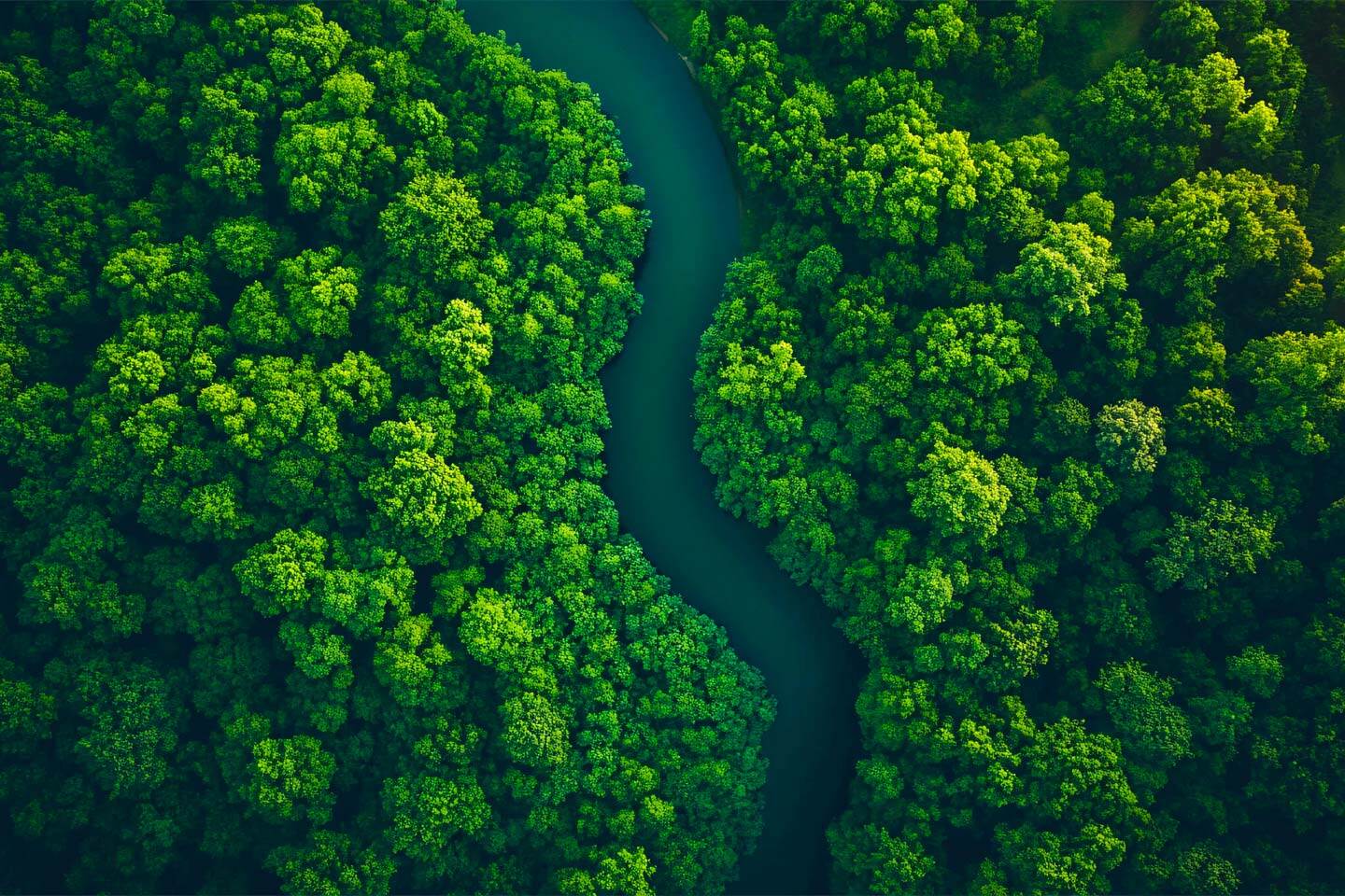 nature path