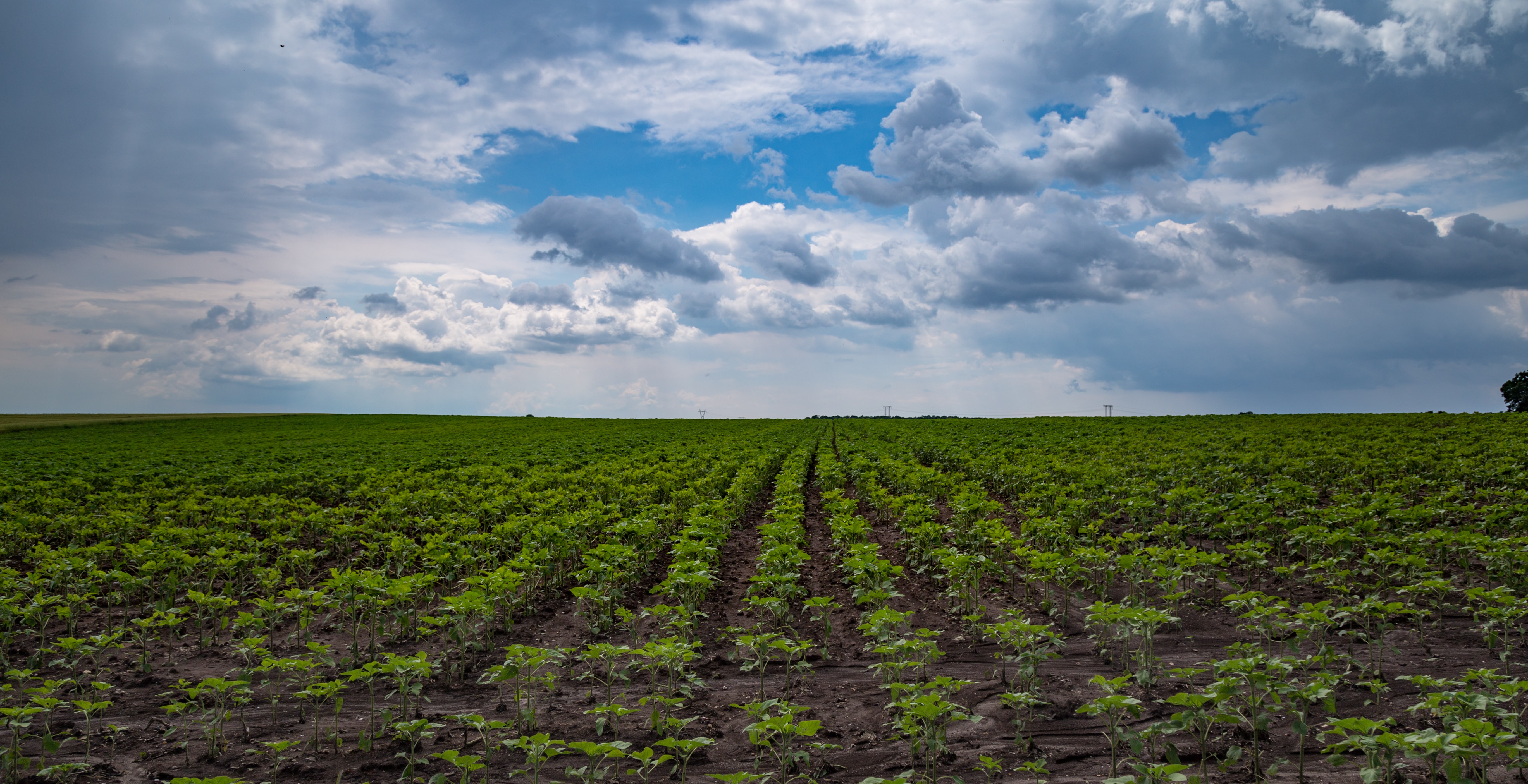 cloud-agro