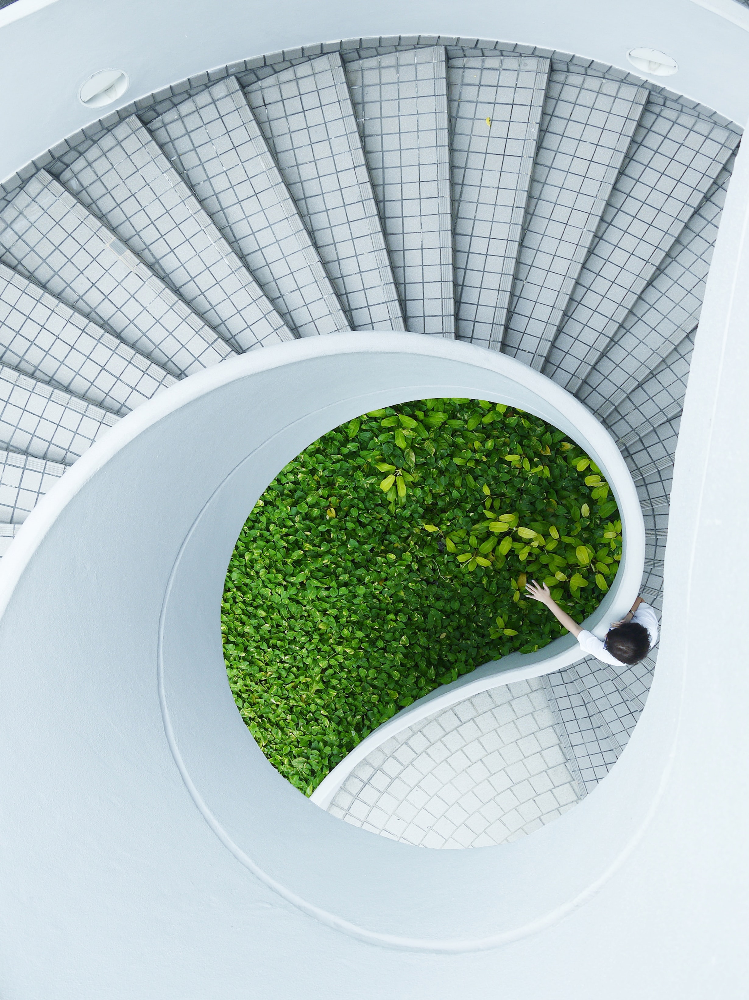 curved staircase with garden at the center